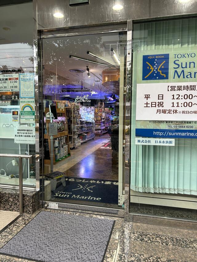 ストア 小岩ペットセンター 熱帯魚