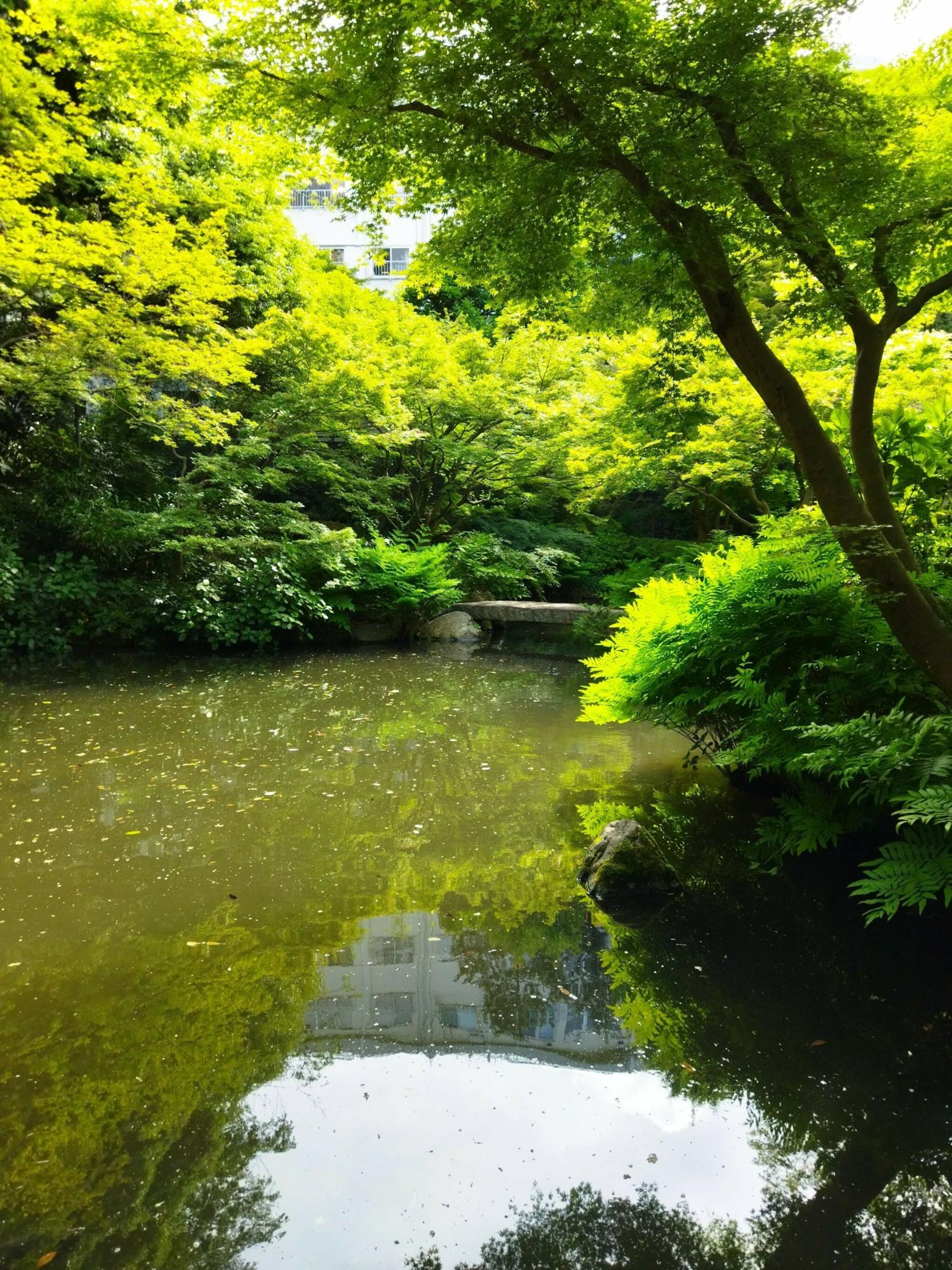 池田山公園の代表写真2