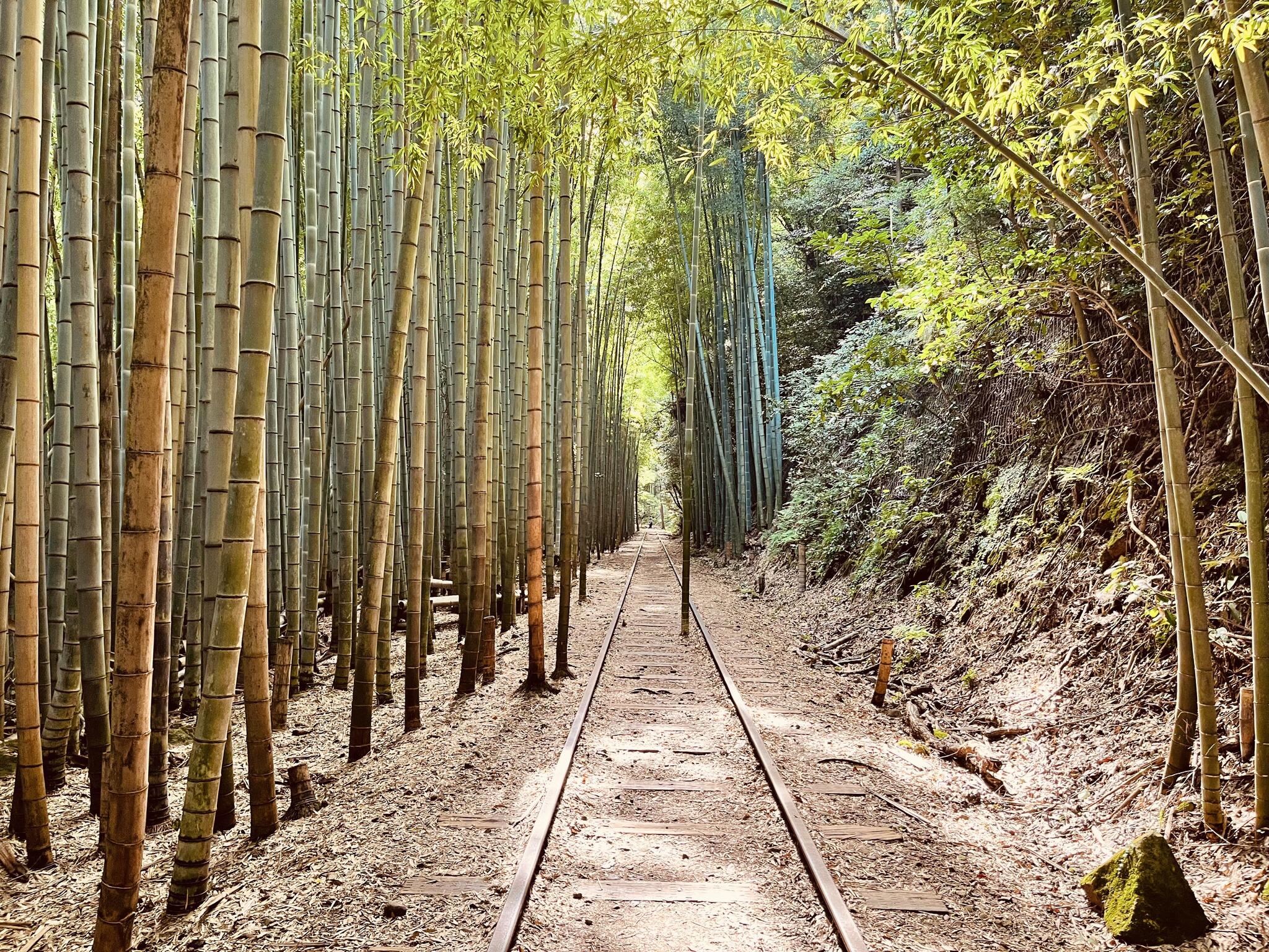 クチコミ : 旧国鉄倉吉線廃線跡 - 倉吉市関金町泰久寺/鉄道・駅関連 | Yahoo!マップ