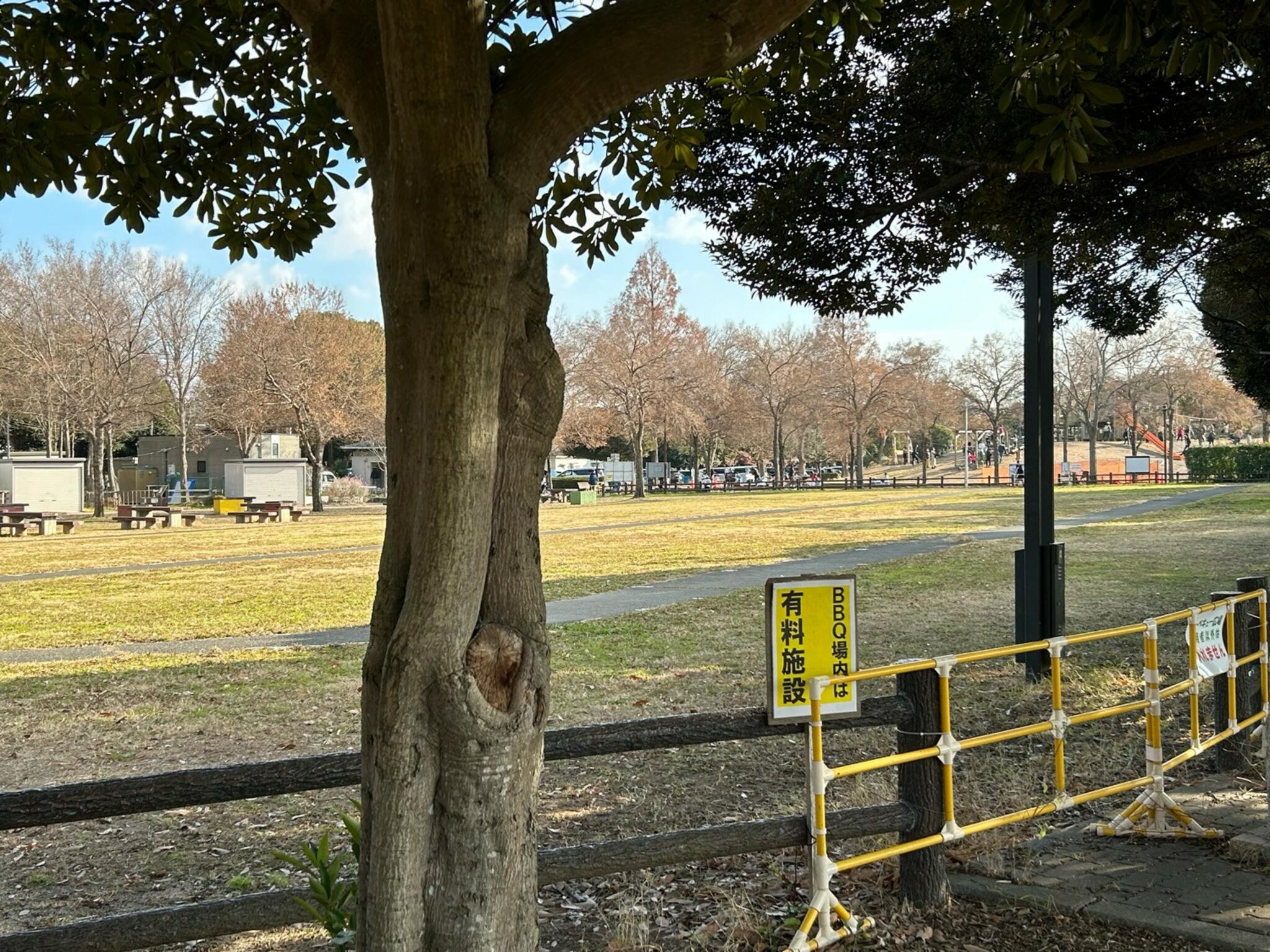 バーベキュー広場(みさと公園)の代表写真1