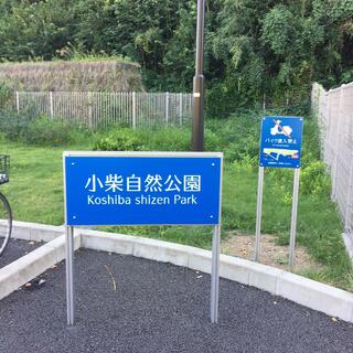 小柴自然公園の写真28