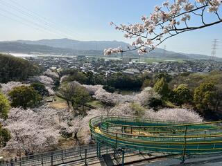 コレクション おかだけ公園 熊本 ペット