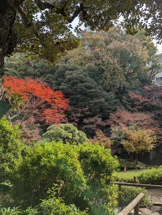 池田山公園のクチコミ写真1