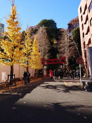 愛宕神社のクチコミ写真2