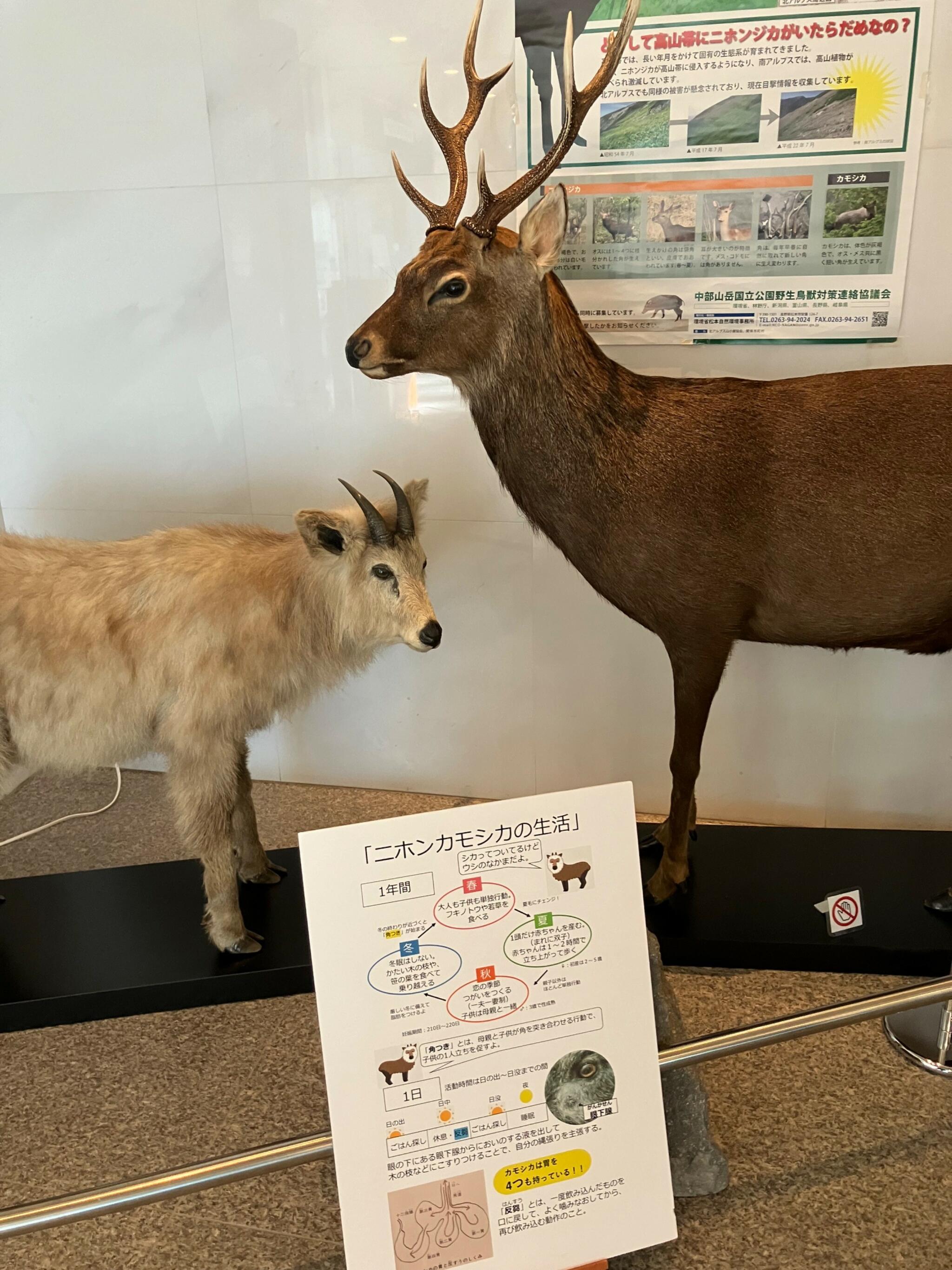 富山県 立山カルデラ砂防博物館の代表写真6