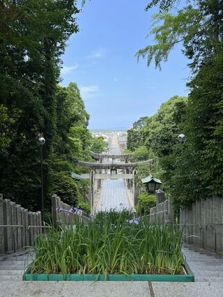 宮地嶽神社のクチコミ写真1