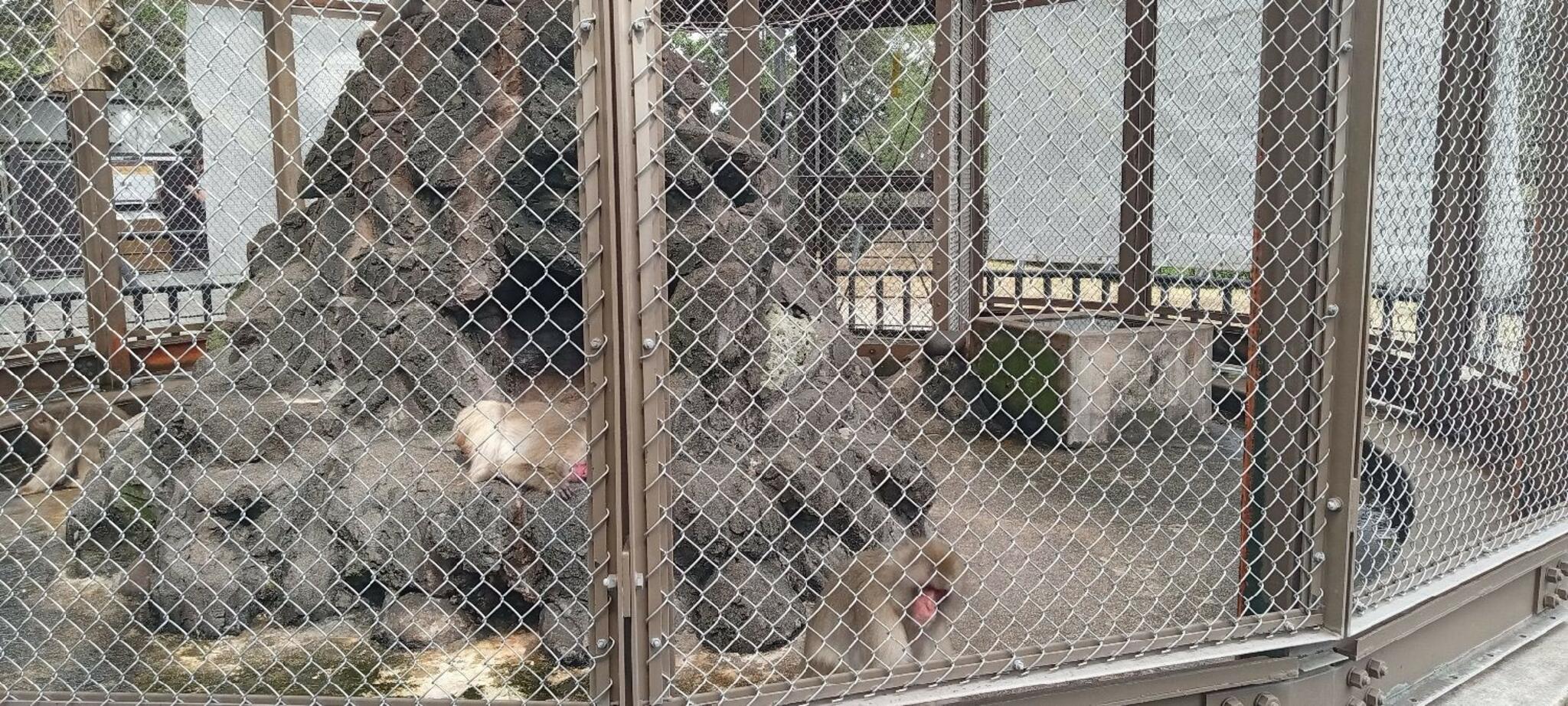 小田原城動物園の代表写真6