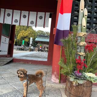 伊賀八幡宮の写真21