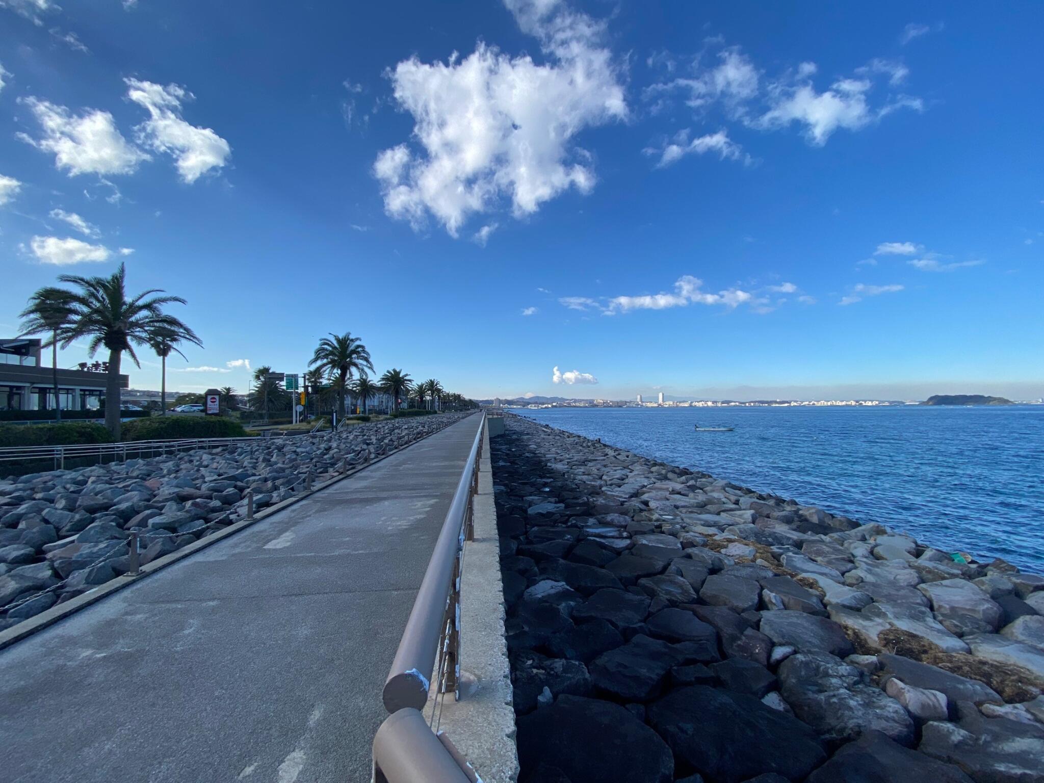 クチコミ : 馬堀海岸 遊歩道 - 横須賀市馬堀海岸 | Yahoo!マップ