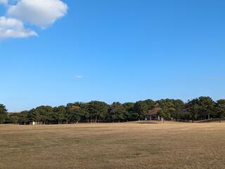 国営海の中道海浜公園のクチコミ写真3