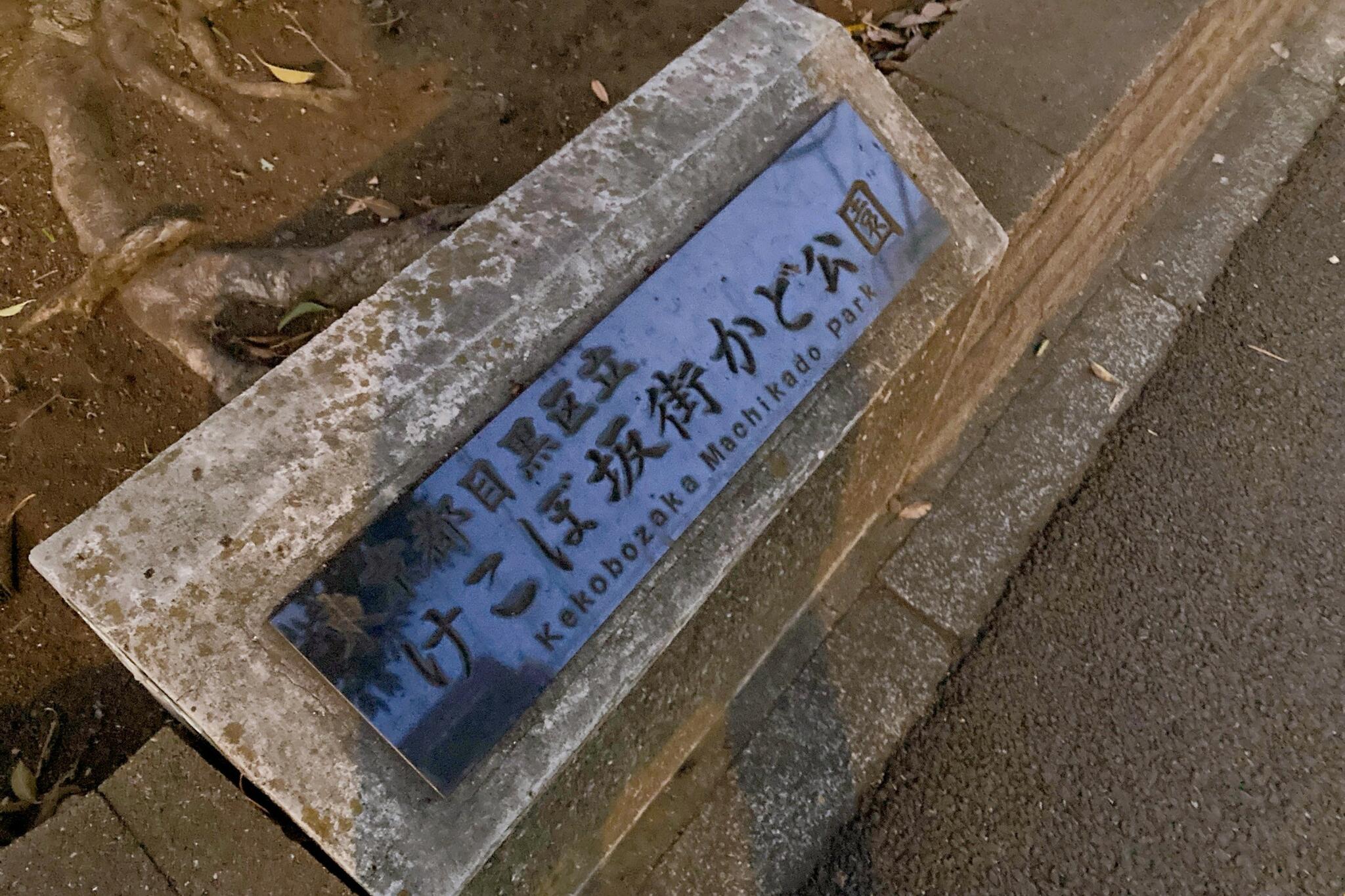 けこぼ坂街かど公園の代表写真9