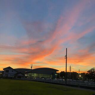 サンフロッグ春日井の写真5