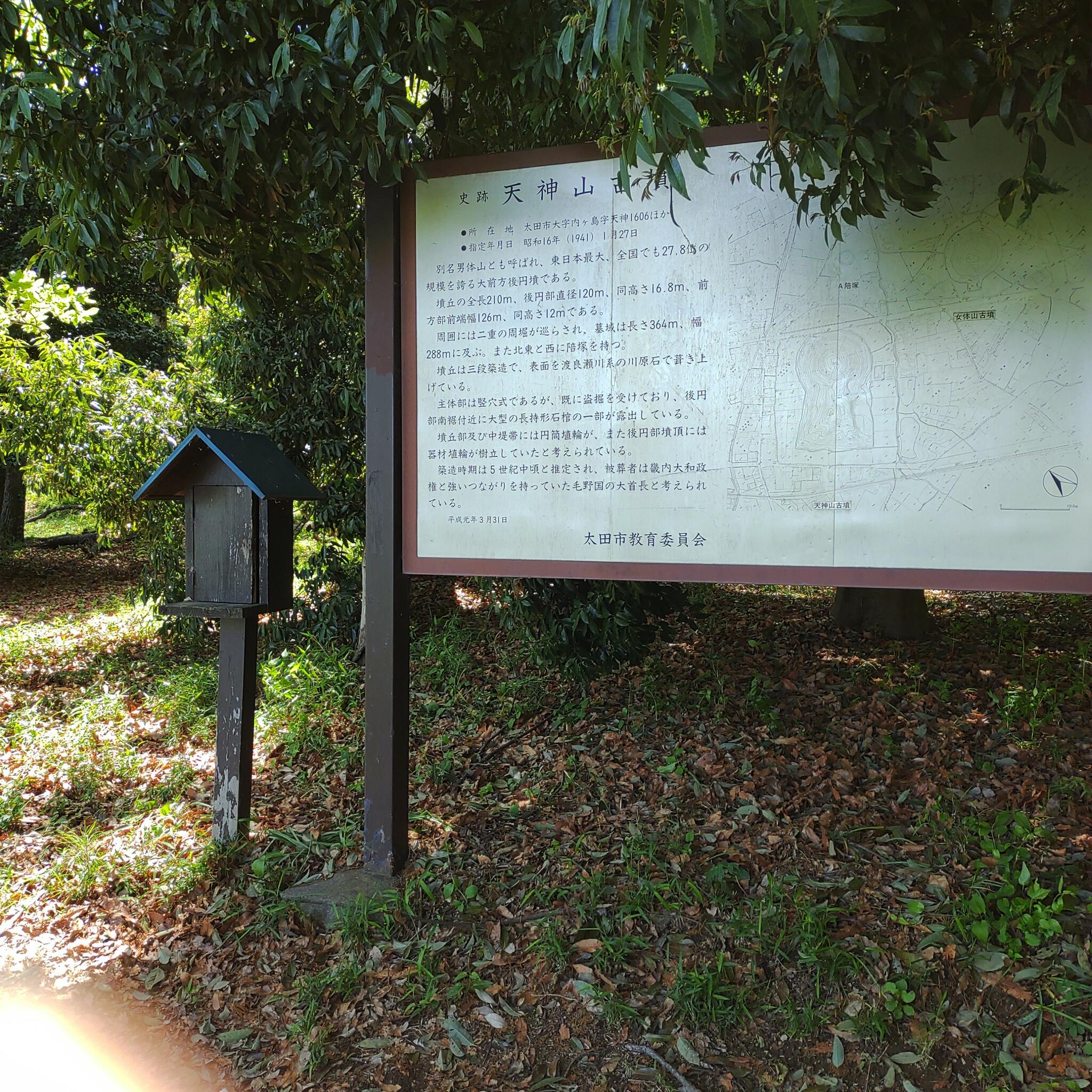 天神山古墳の代表写真3