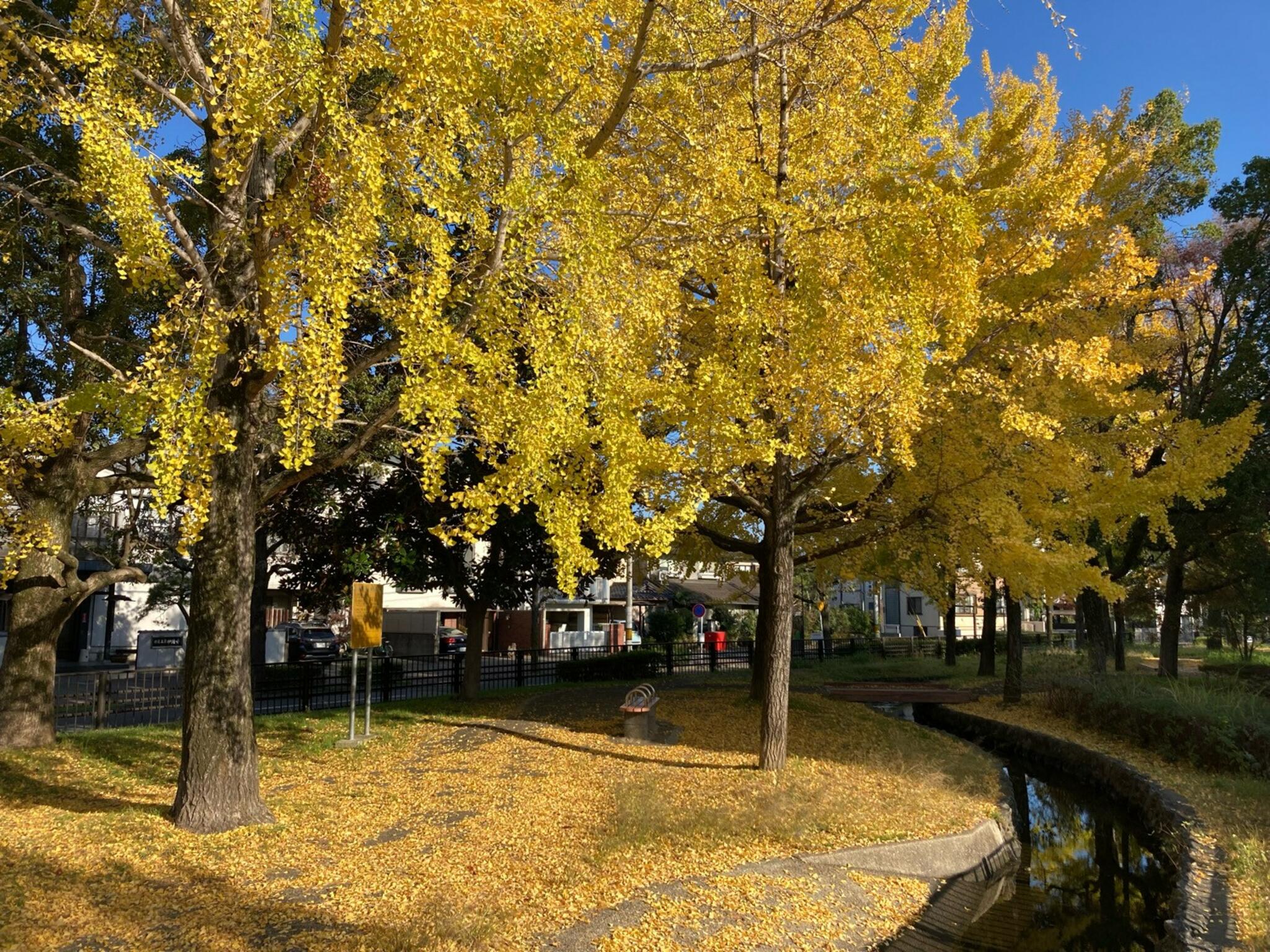 紫明せせらぎ第2公園の代表写真3