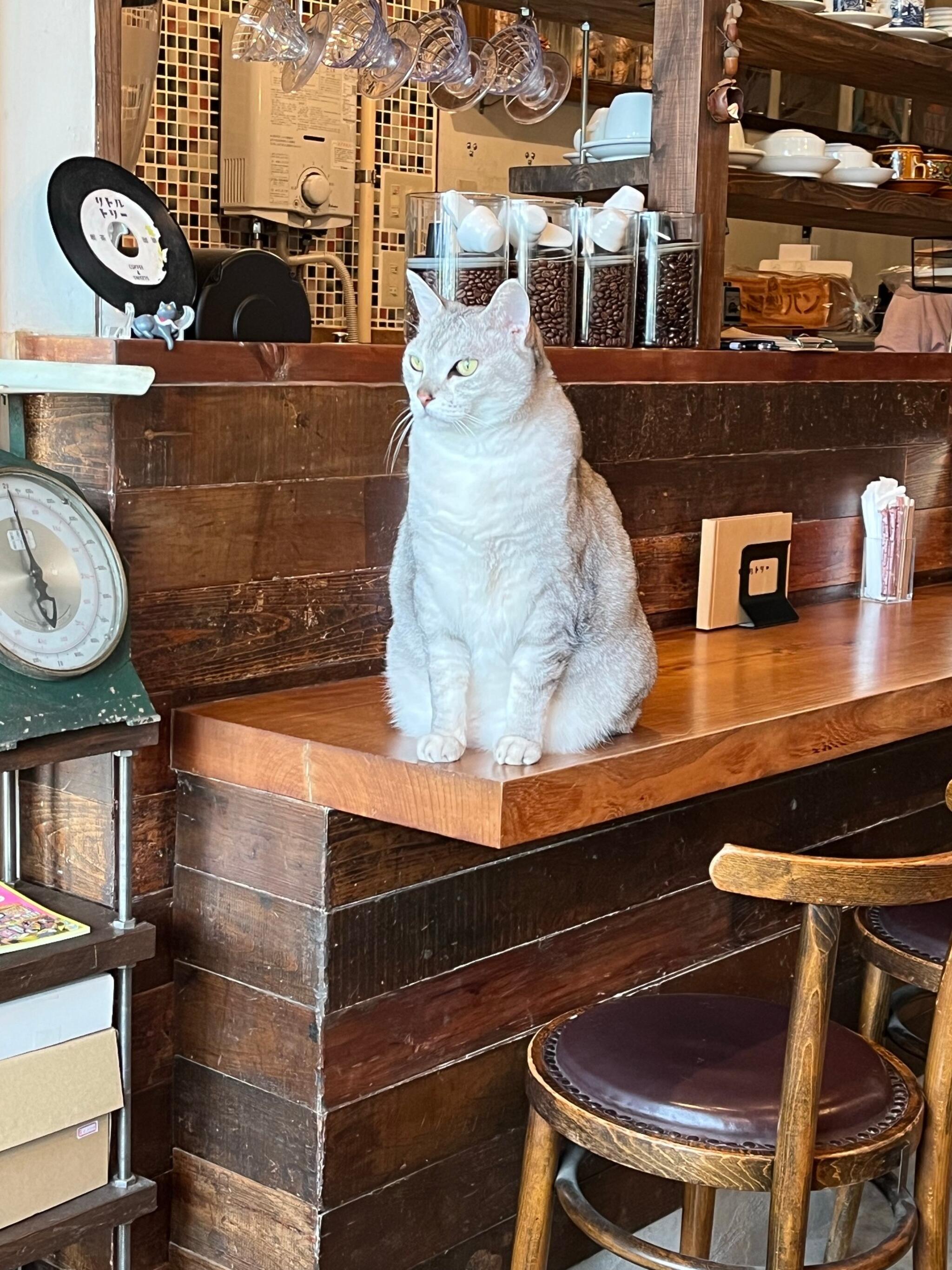 コーヒーと本とレコードの店 名古屋 クリアランス