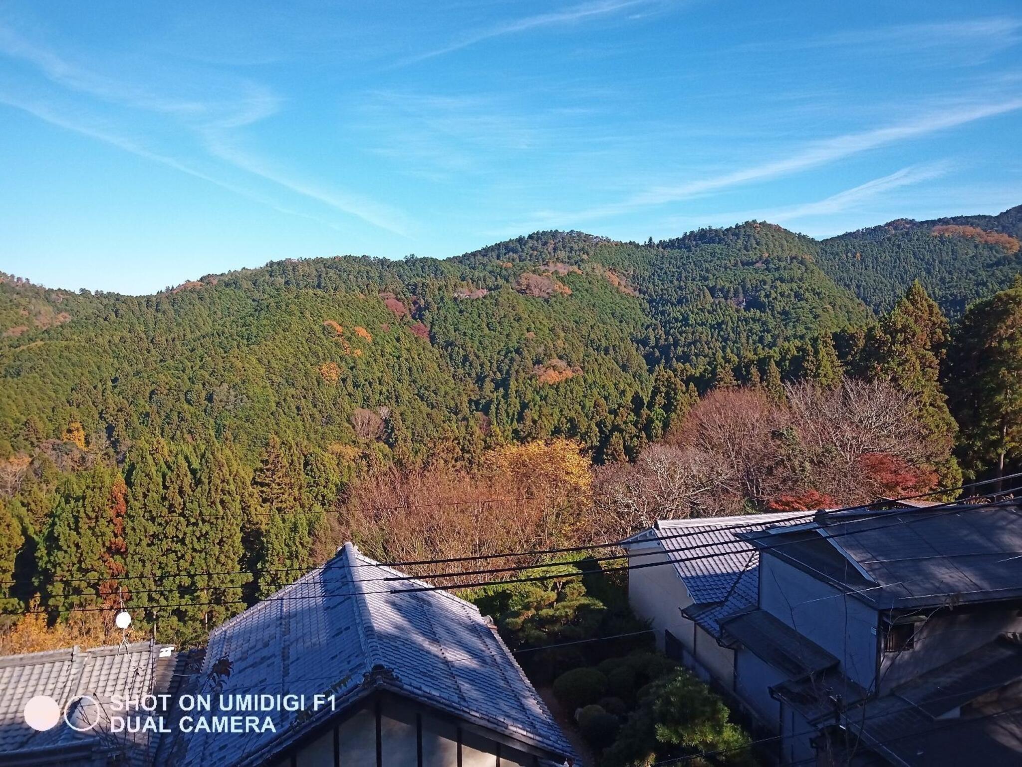 吉野 販売済み 山 中 千本