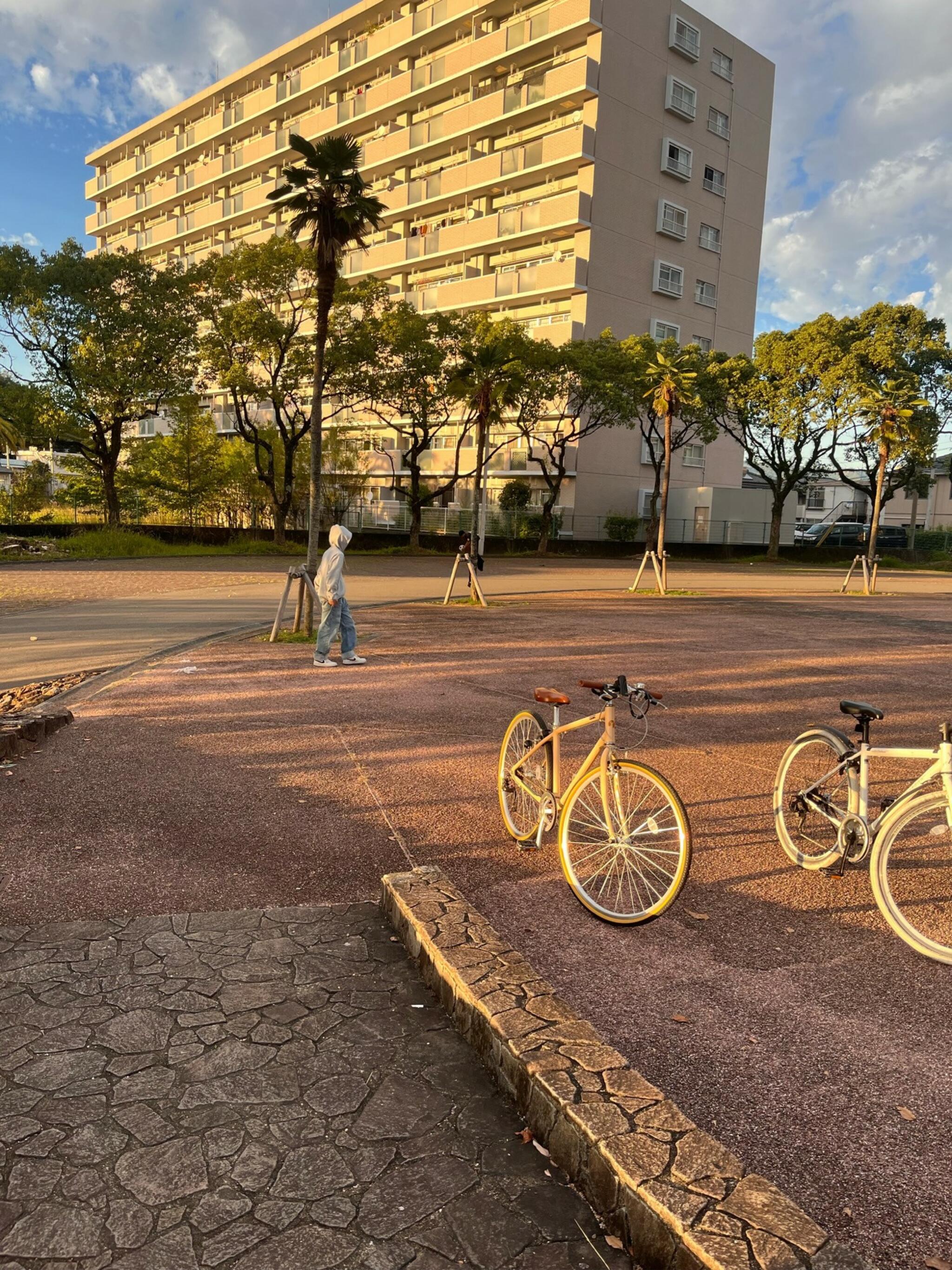 大谷公園の代表写真1