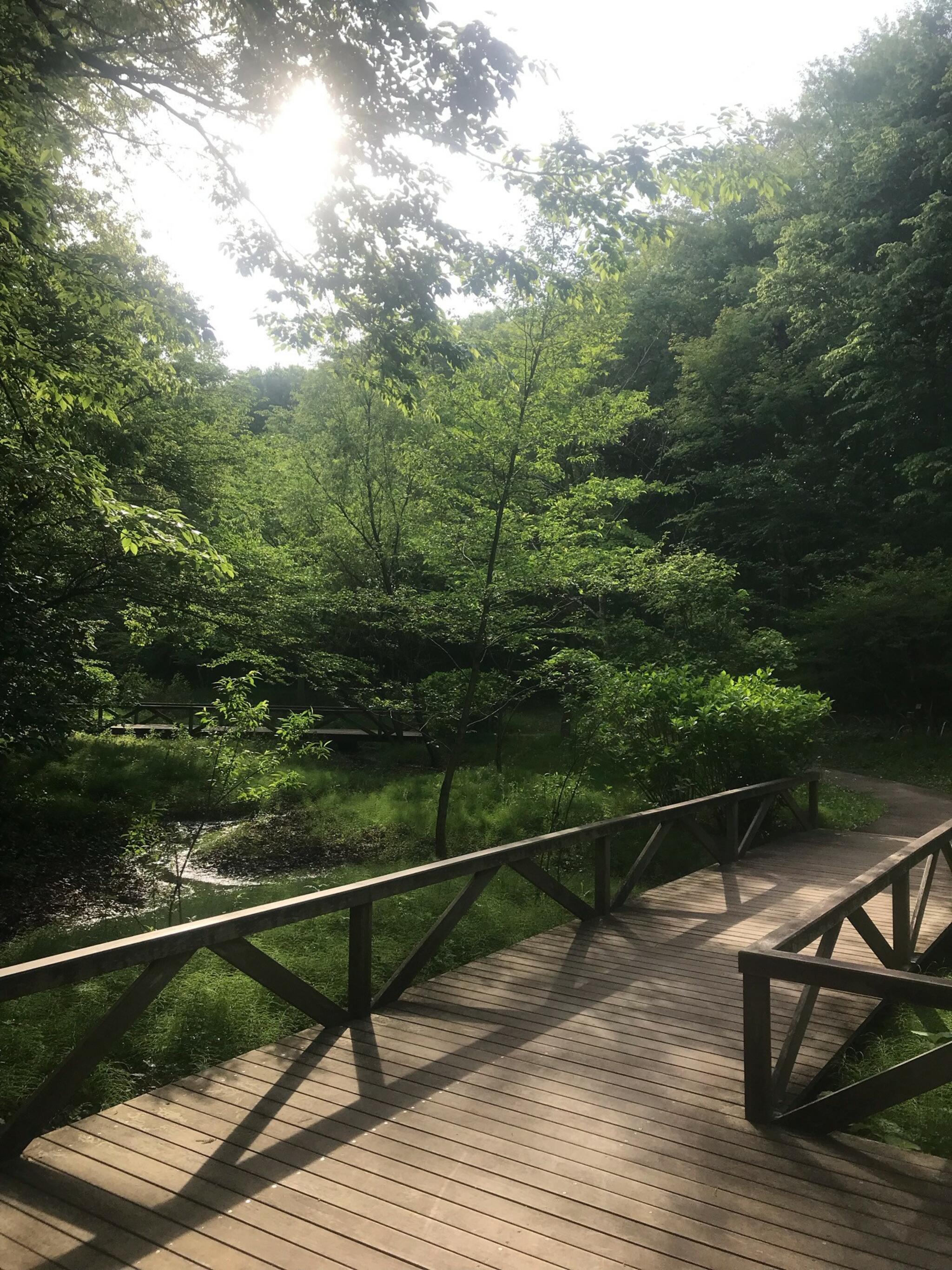 ふなばしアンデルセン公園の代表写真5