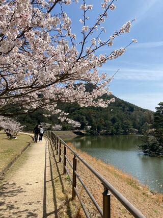 みやま公園のクチコミ写真2