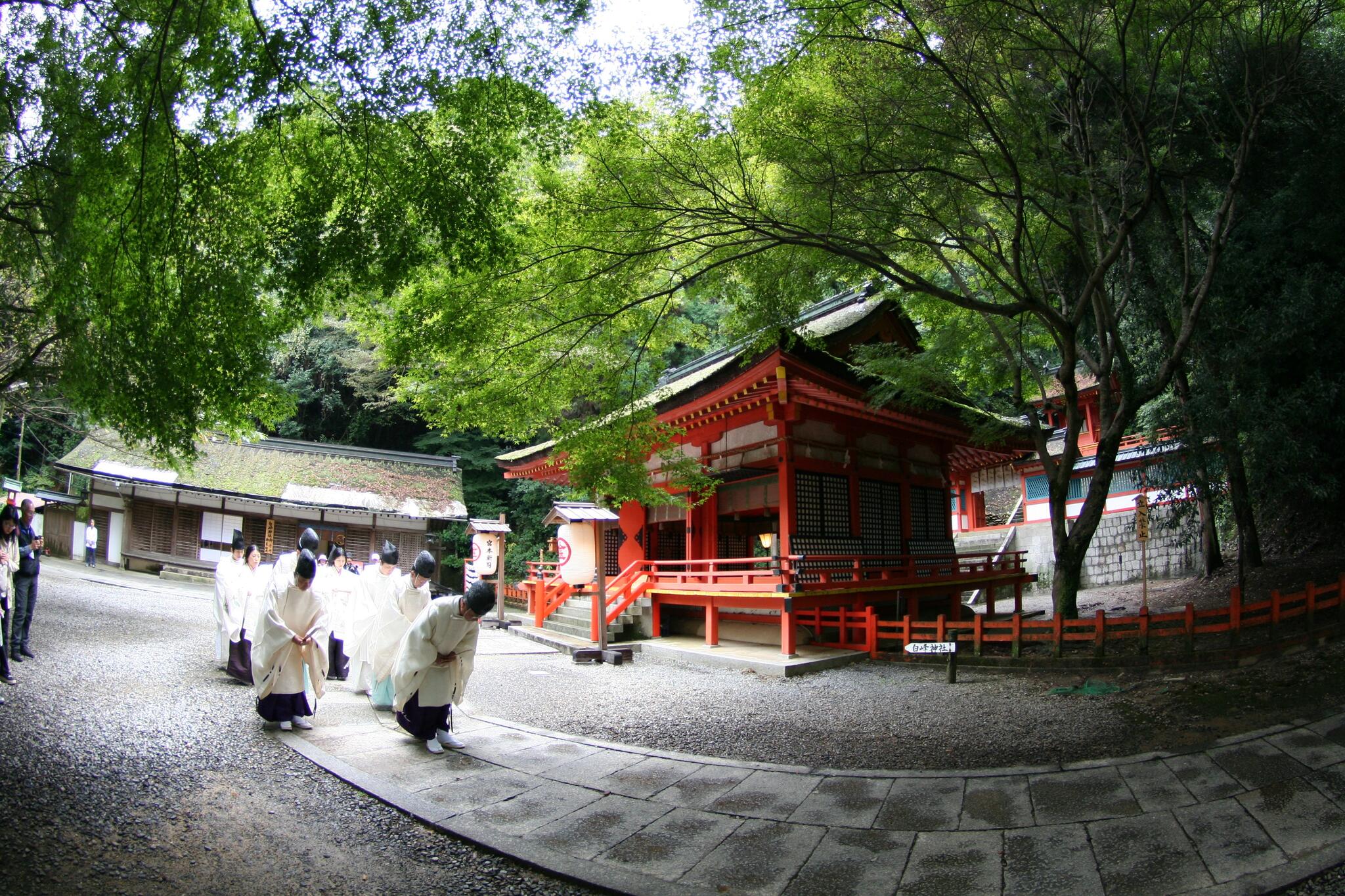 766-0001 香川県仲多度郡琴平町 その他 人気 白峰神社