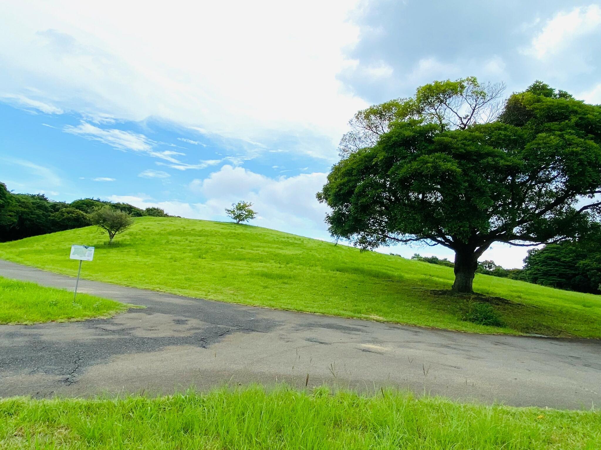 鹿児島県上野原縄文の森の代表写真5