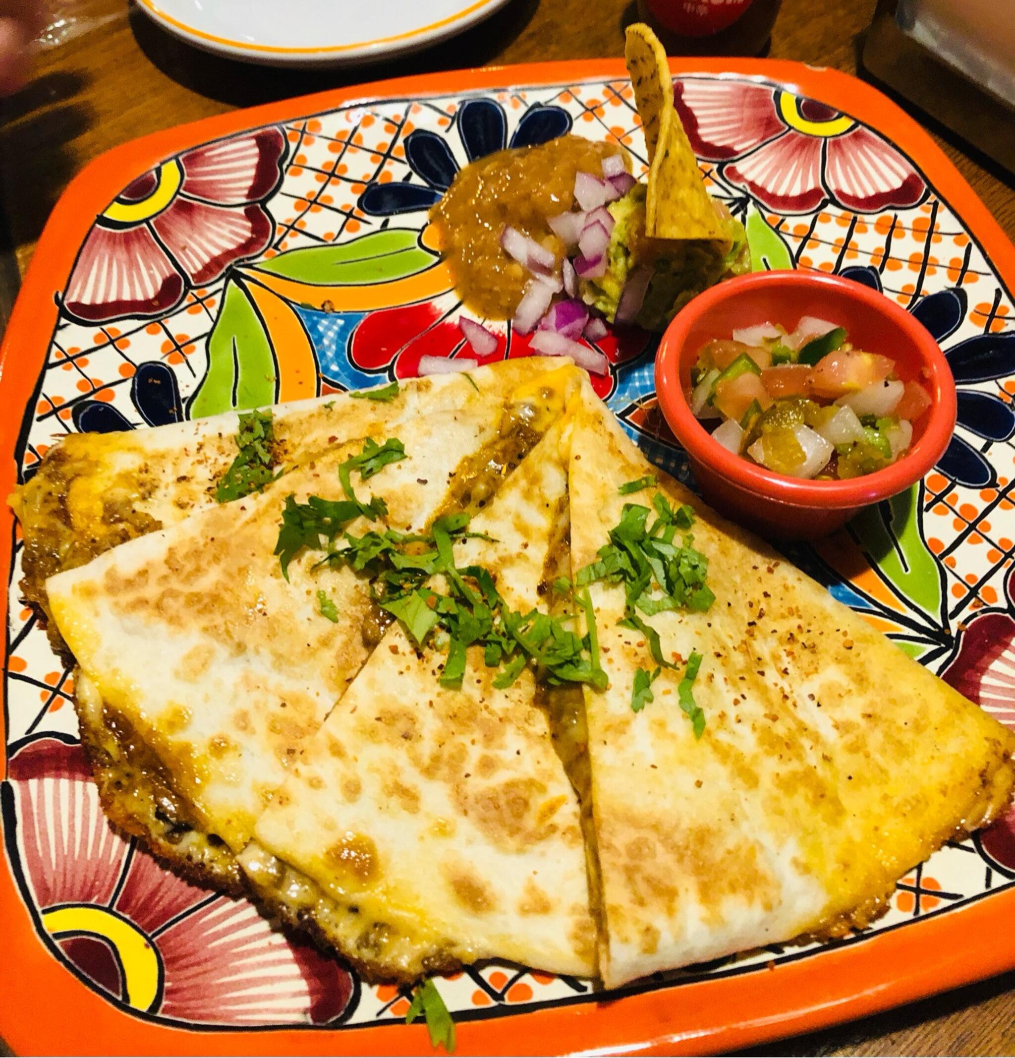 本 八幡 人気 メキシコ 料理