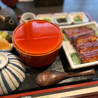 うなぎ藤田 浜松駅前店の写真20