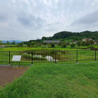 道の駅 明恵ふるさと館(関西広域連合域内直売所)の写真3