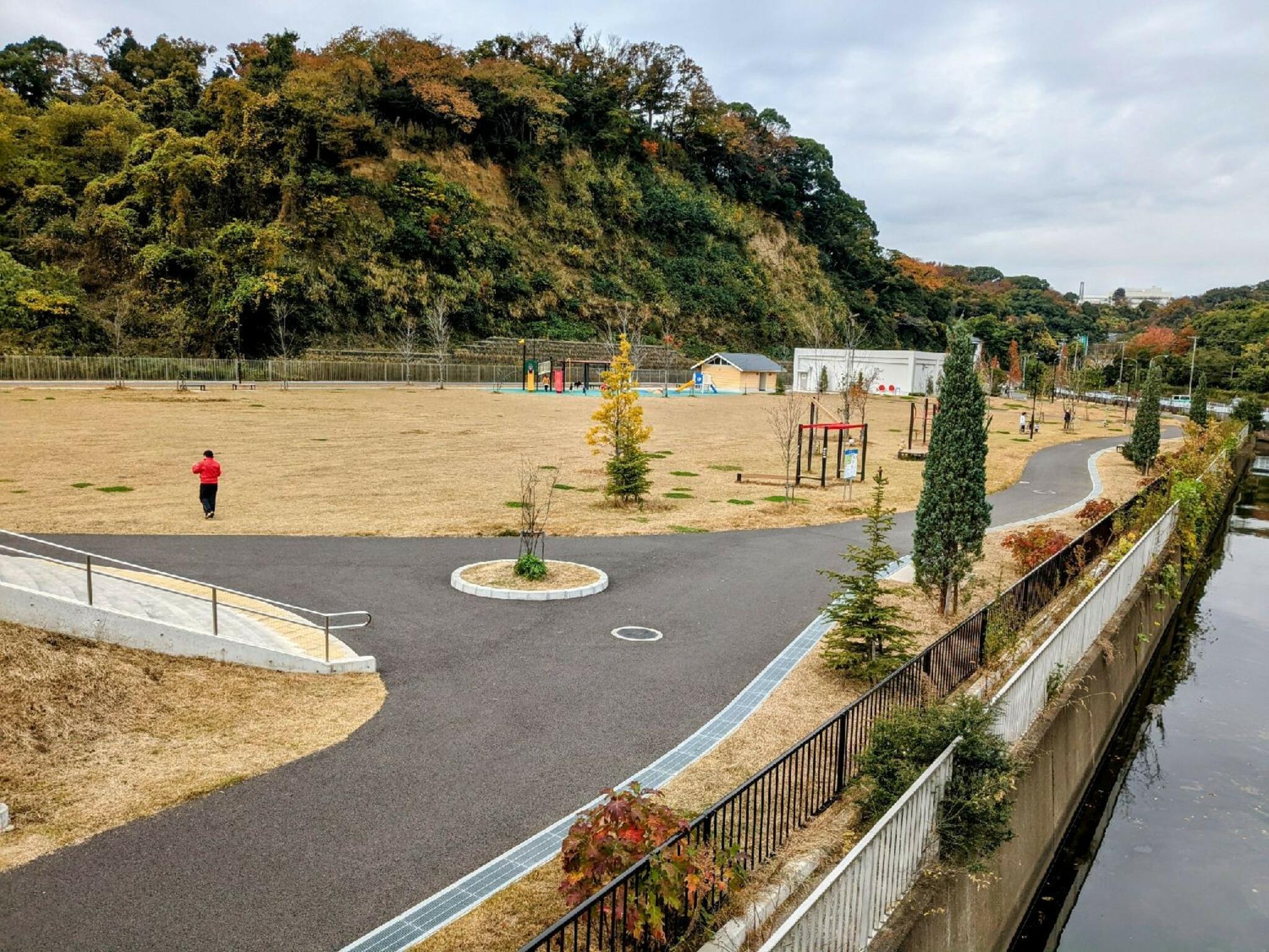 小柴自然公園の代表写真6