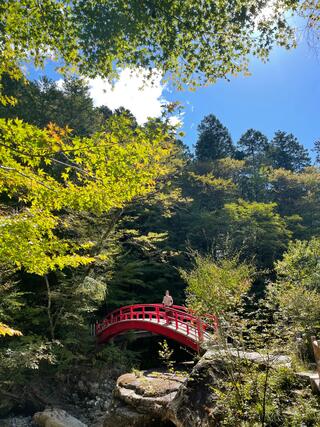 夕森キャンプ場・夕森公園総合案内所 YOU遊館のクチコミ写真1