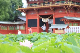 伊賀八幡宮のクチコミ写真1