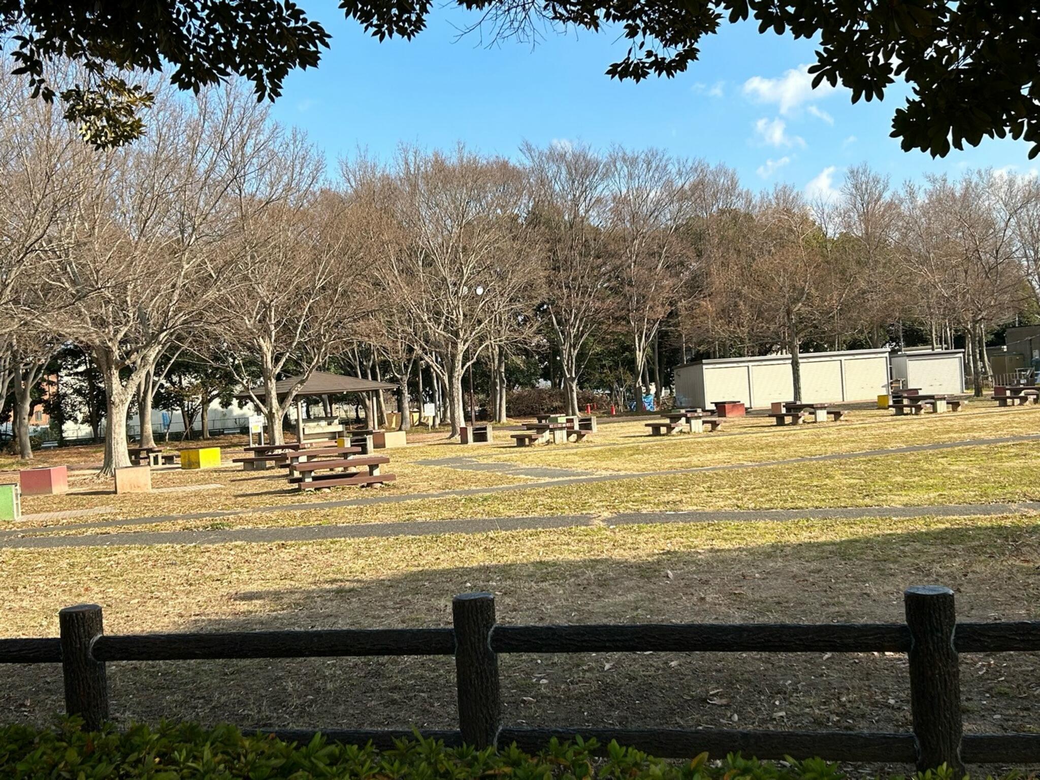 バーベキュー広場(みさと公園)の代表写真3