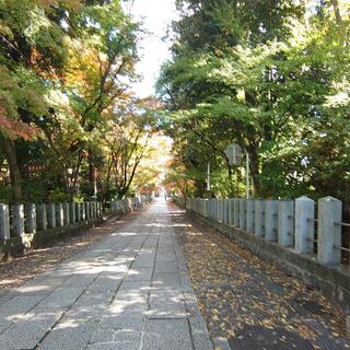 向日神社の写真21