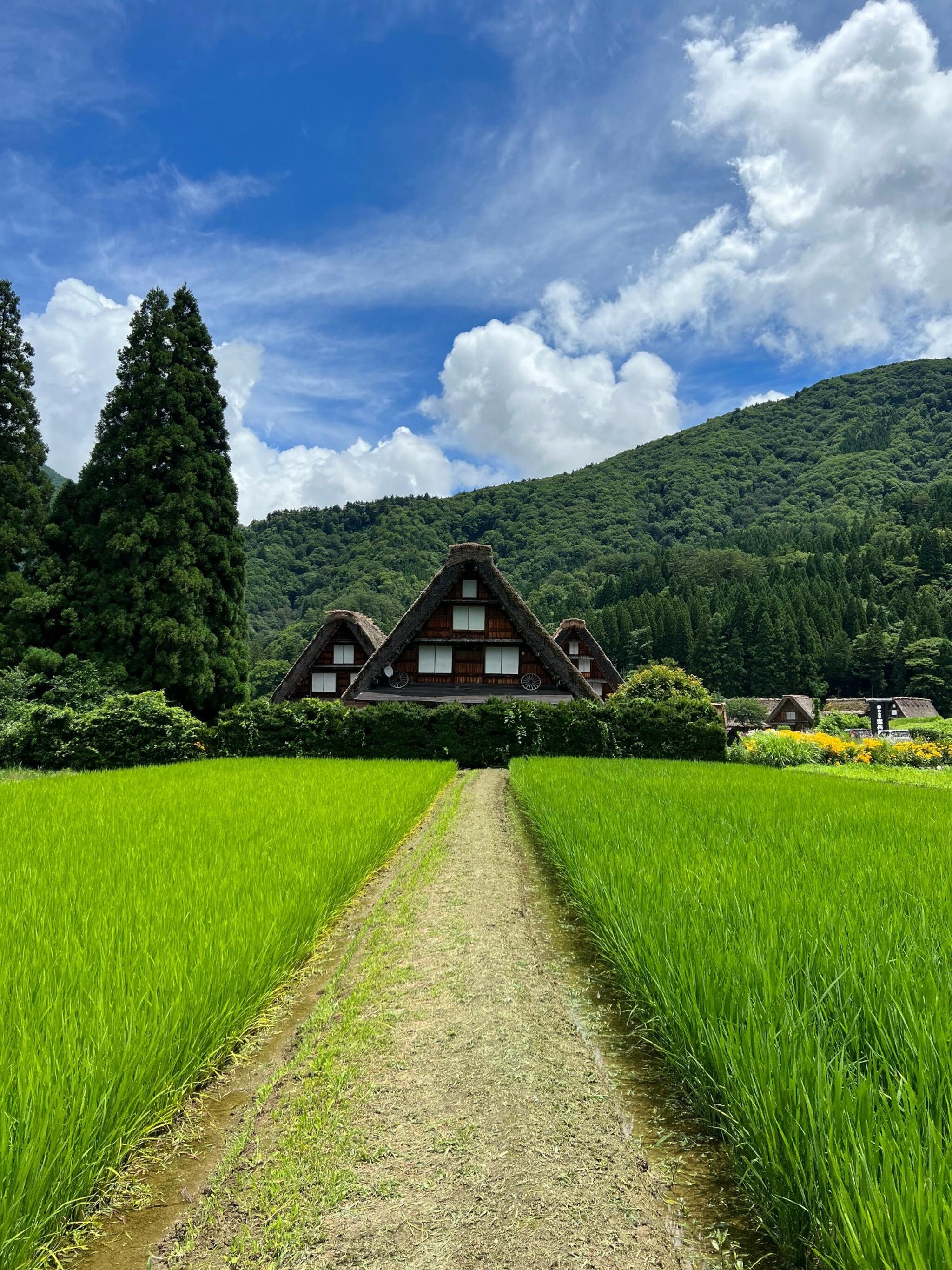 白川郷の代表写真10