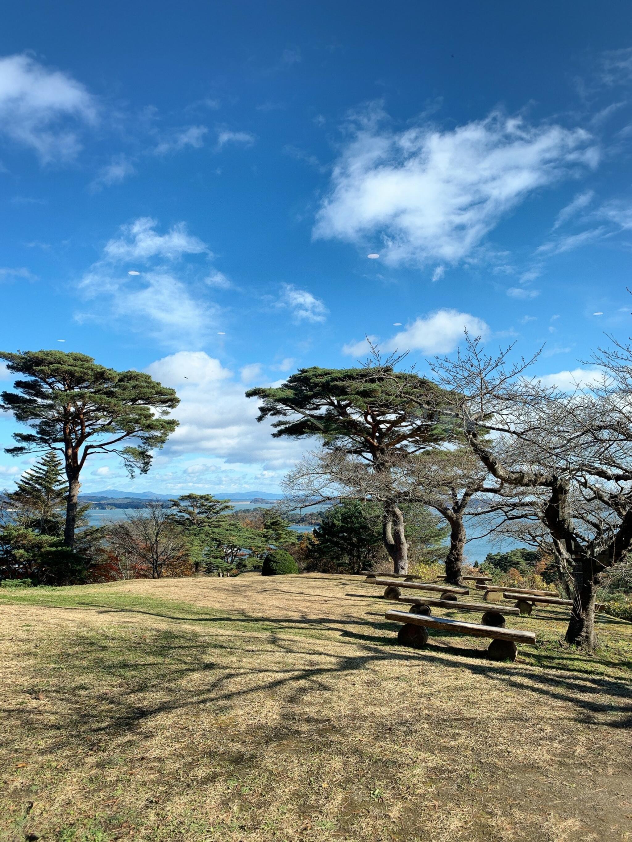 西行戻しの松公園の代表写真7