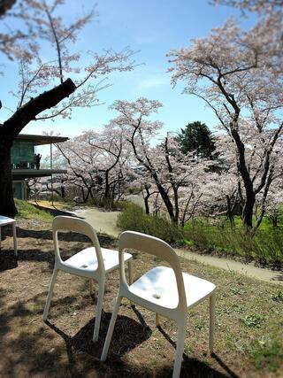 西行戻しの松公園のクチコミ写真1