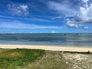 佐和田の浜のクチコミ写真1