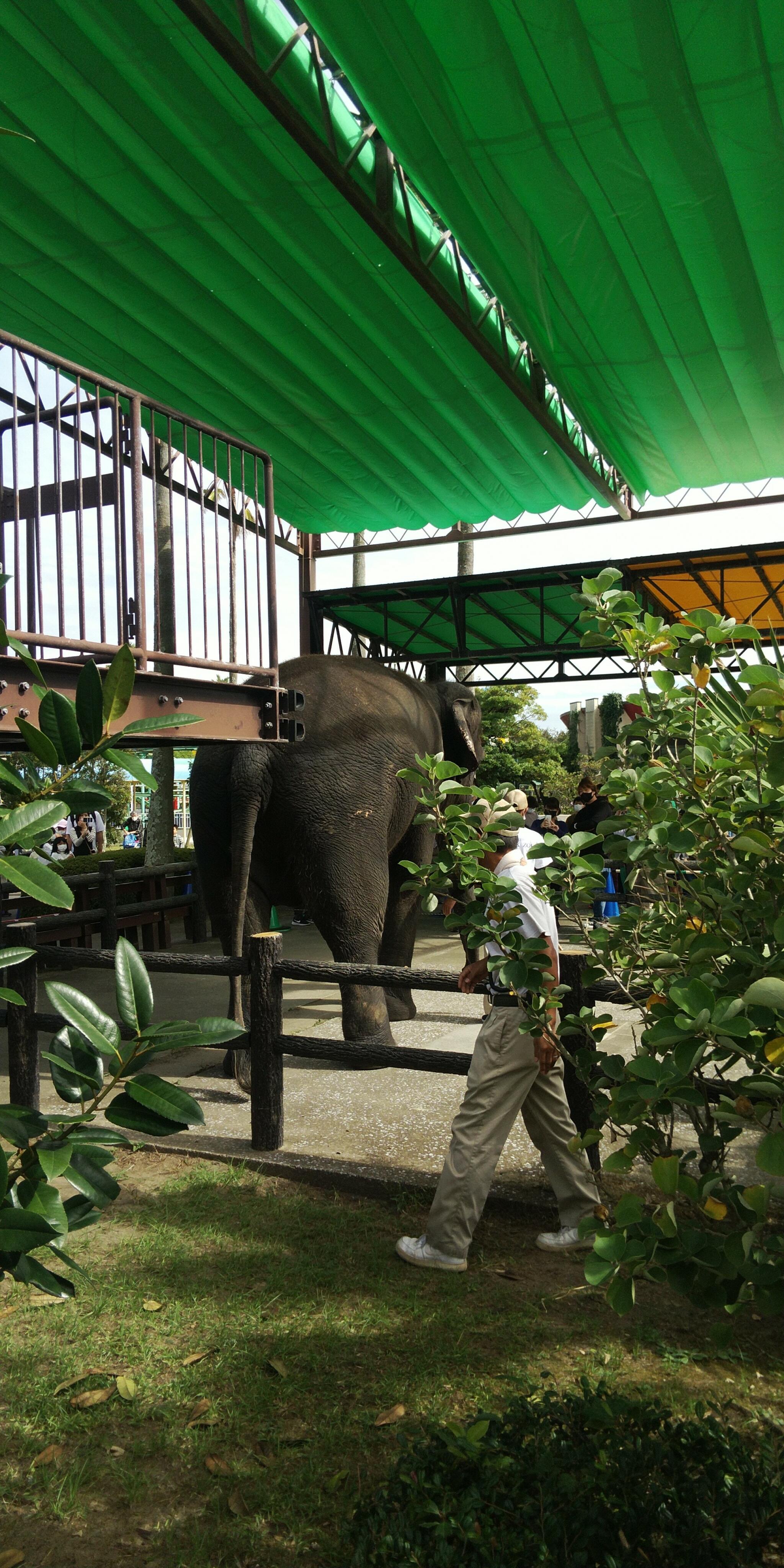 宮崎市フェニックス 自然動物園の代表写真7