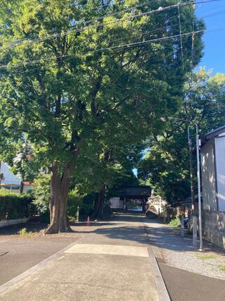 長良天神神社のクチコミ写真2