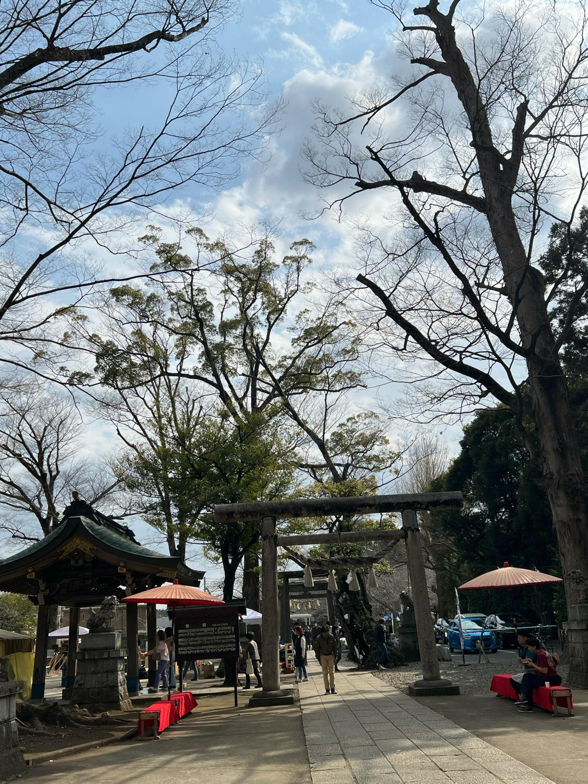 一言主神社の代表写真8