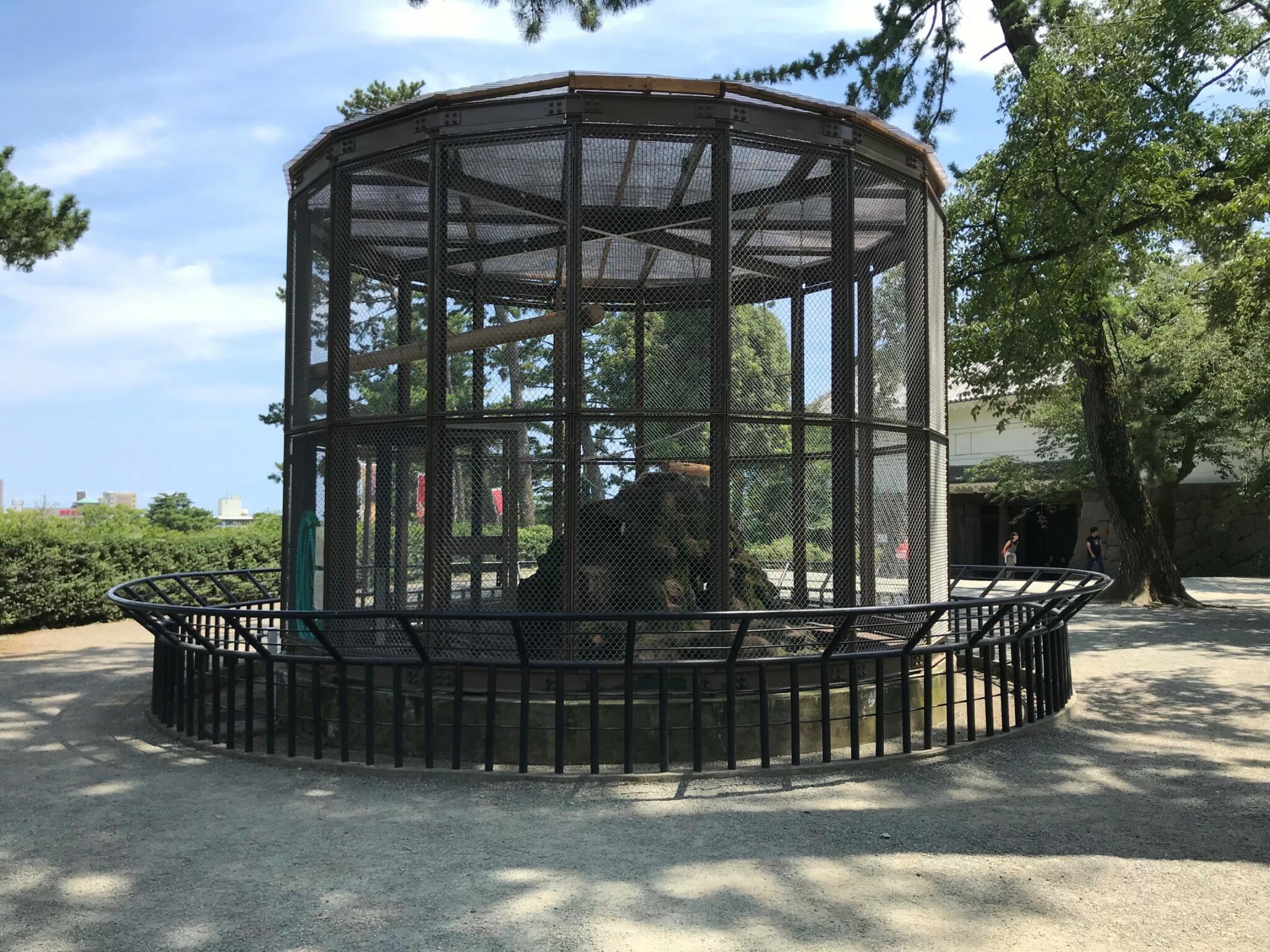 小田原城動物園の代表写真4