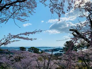 西行戻しの松公園のクチコミ写真1