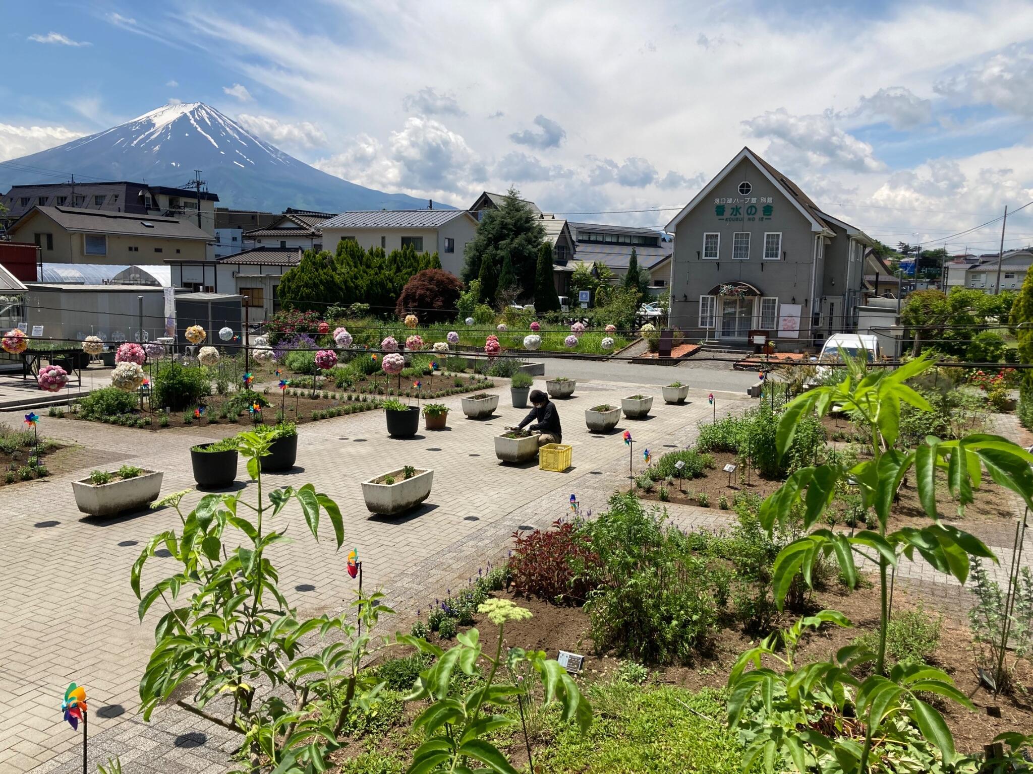 河口湖 ハーブ 館 コレクション ペット