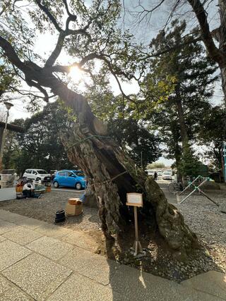 一言主神社のクチコミ写真3