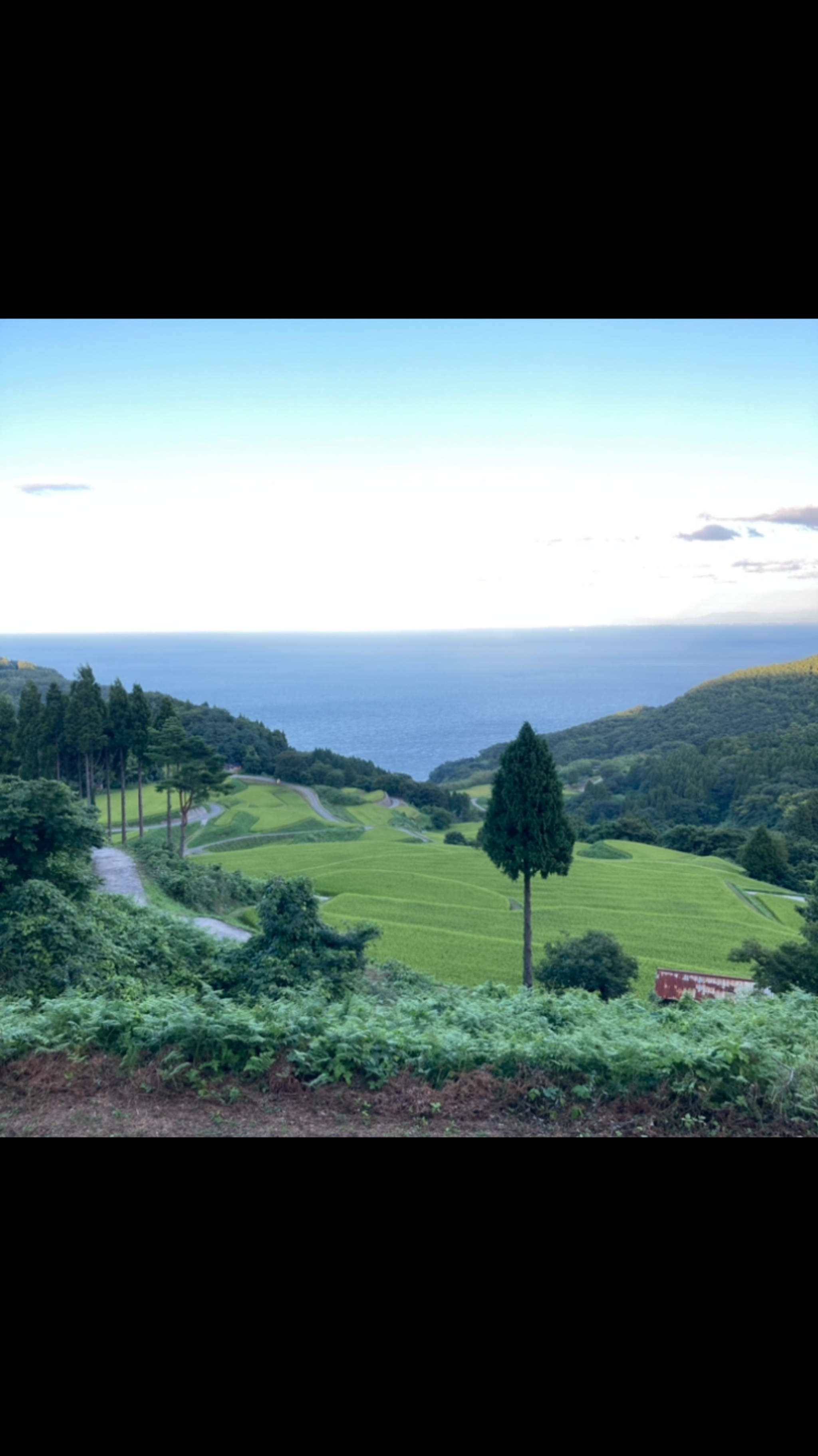 岩首昇竜棚田の代表写真4