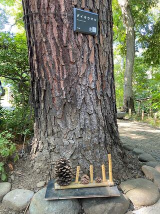 練馬区立牧野記念庭園のクチコミ写真5