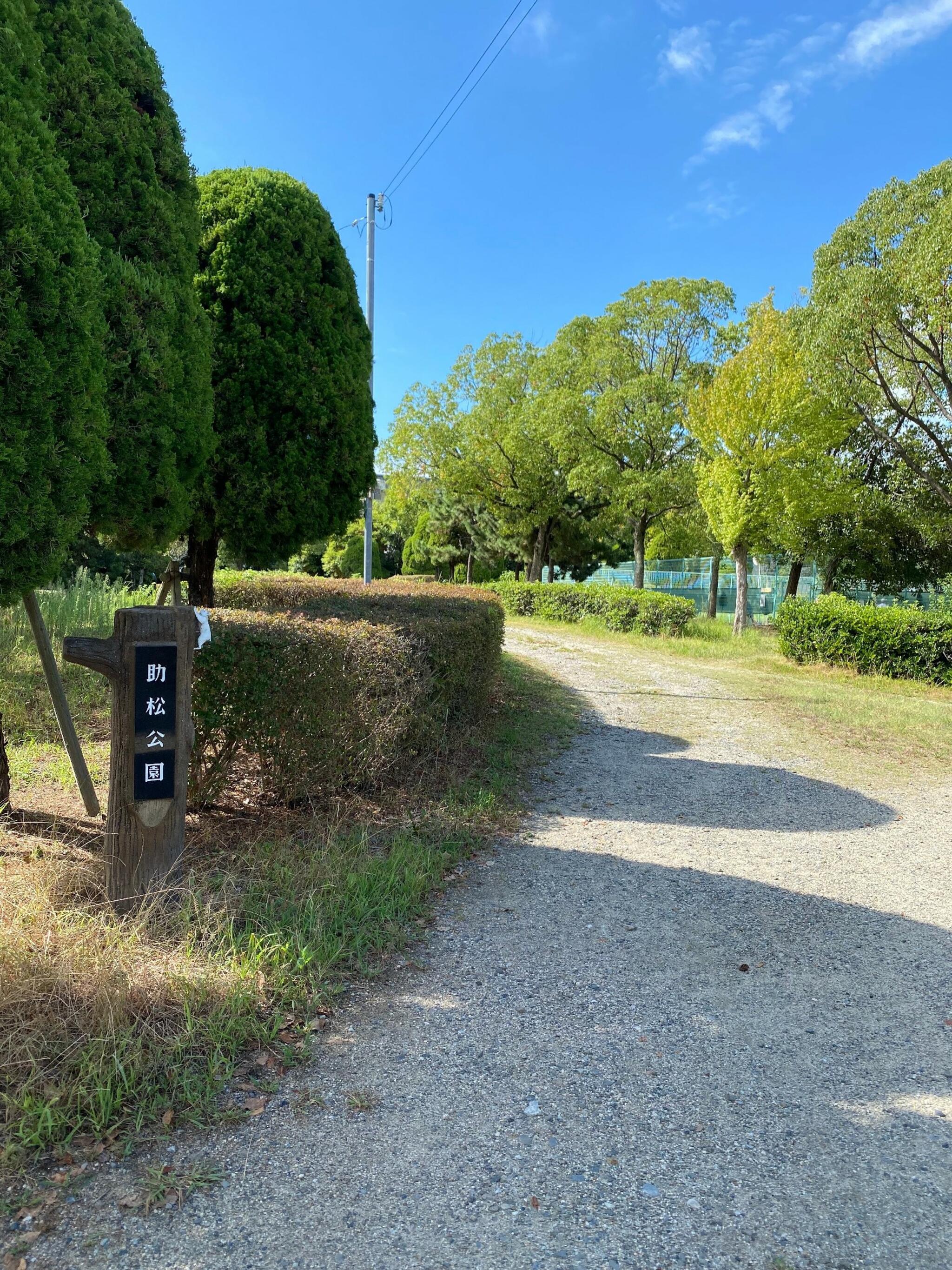 助松公園の代表写真8