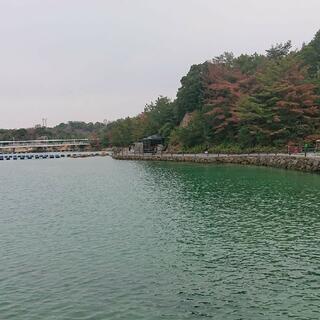 わくわく海中水族館シードーナツの写真21