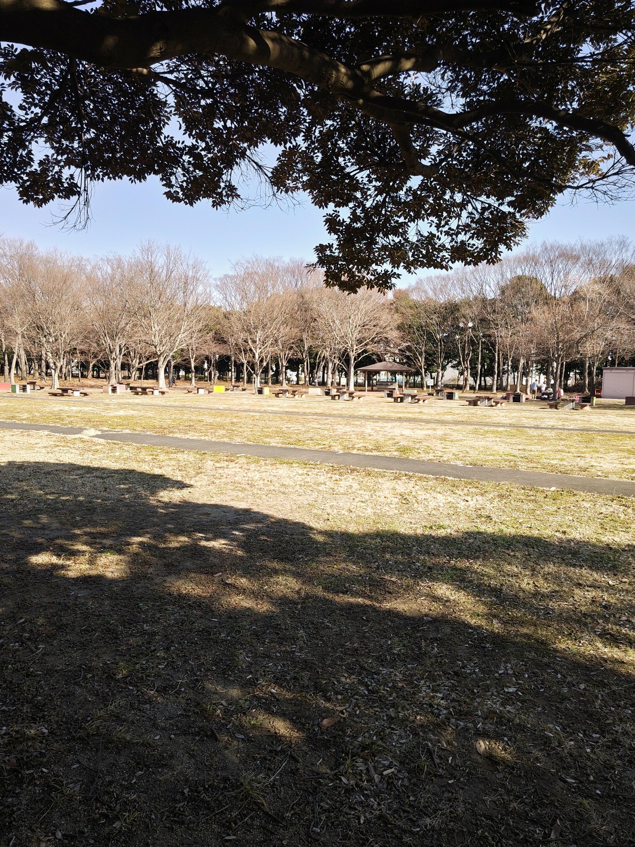 バーベキュー広場(みさと公園)の代表写真4