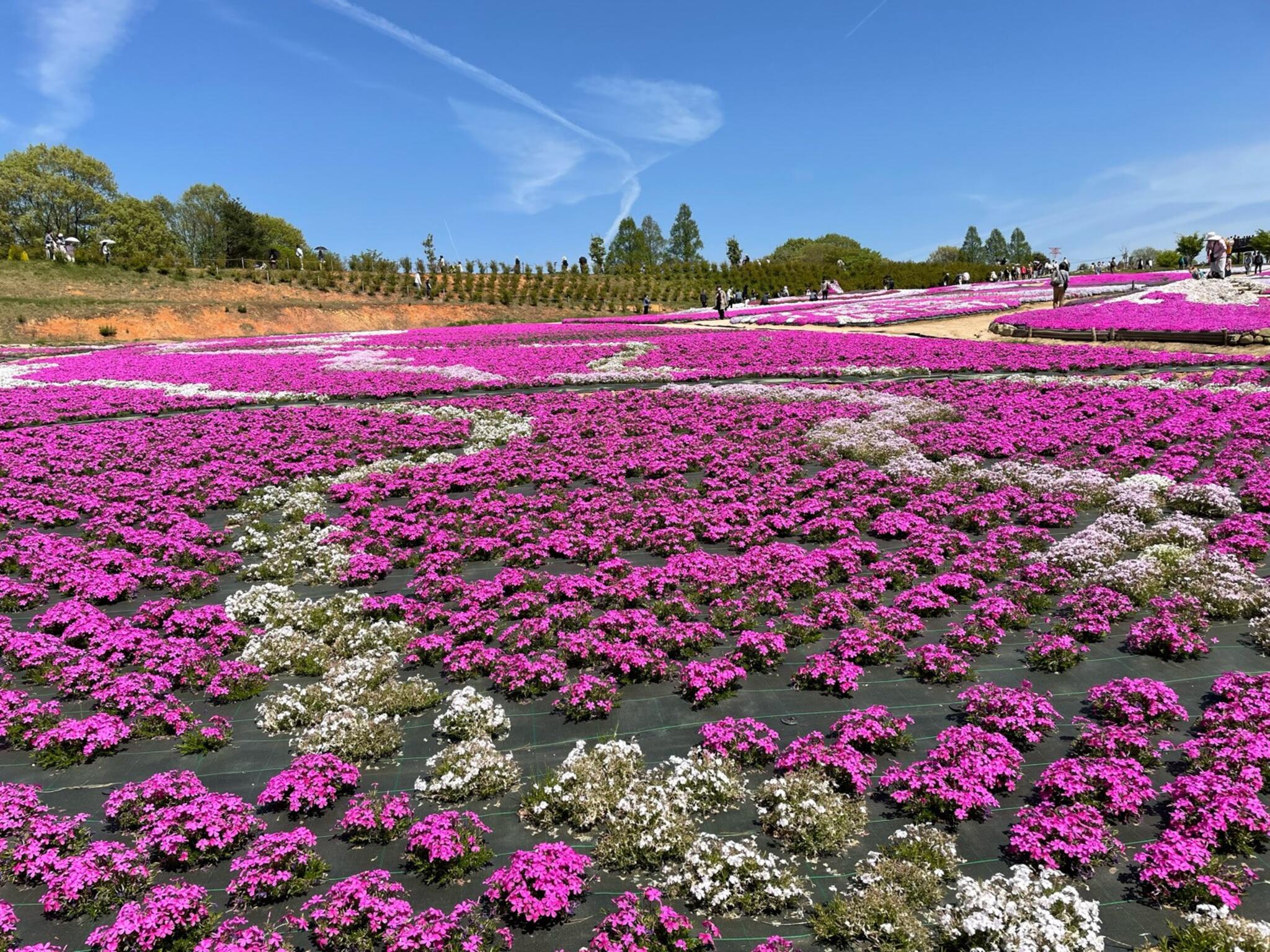 Flower Village 花夢の里 - 世羅郡世羅町大字上津田/飲食店 | Yahoo!マップ